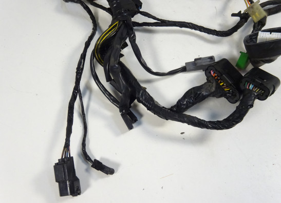 Kabelbaum Kawasaki ER 6