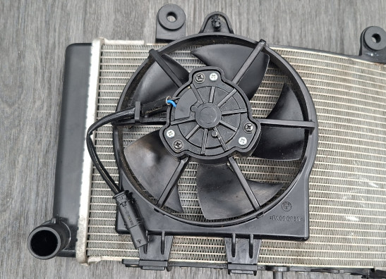 Radiator BMW F 900 XR