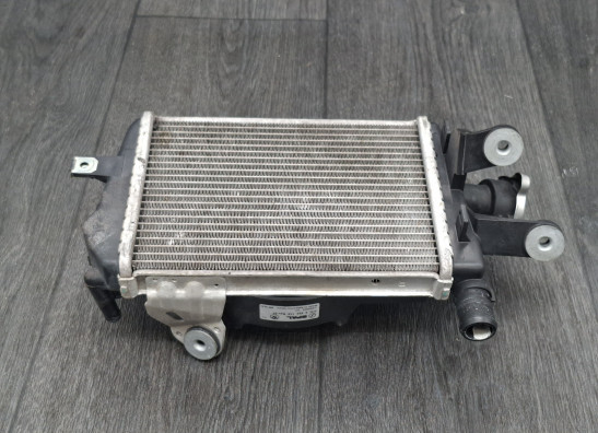 Kuhler BMW R 1200 GS LC