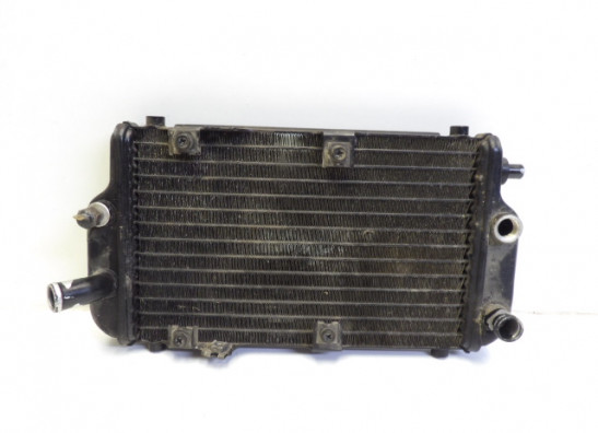 Kuhler Kawasaki EL 250