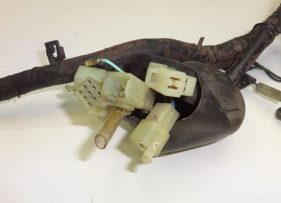 Wire Harness Honda TRANSALP