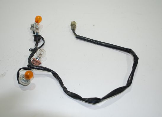 Achterlicht Yamaha FJR 1300