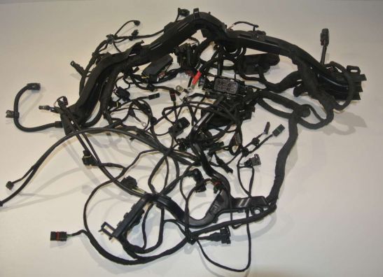 Wire Harness BMW R 1200 GS LC