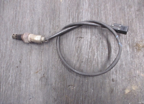 Lambda sensor Triumph Tiger 1050