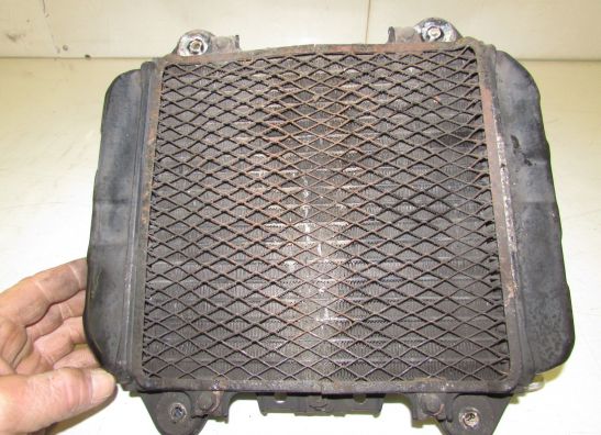 Radiateur Kawasaki ZZR 250