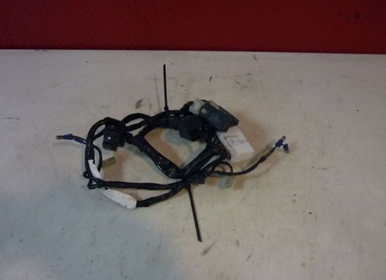 Kabelboom voor Yamaha YZF R6