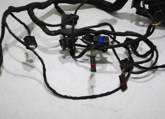 Wire Harness BMW F 800 S - ST