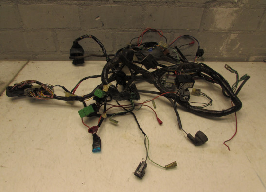 Wire Harness Honda Silverwing