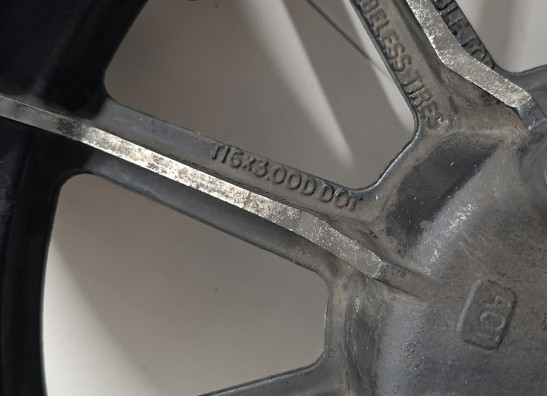 Achtervelg Harley Davidson FLHR Road King