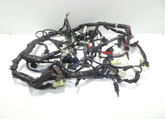 Kabelbaum Yamaha MT 09