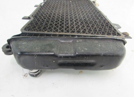 Kuhler Kawasaki ZZR 600