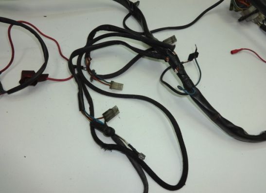 Wire Harness Aprilia Pegaso