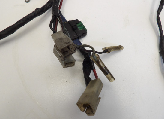 Wire Harness Yamaha V max