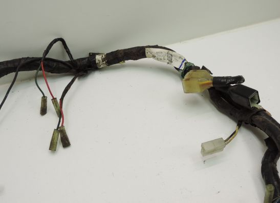 Wire Harness Kawasaki GPZ 900