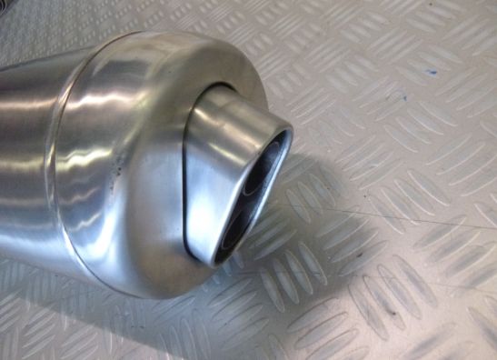 Auspuff BMW F 650 GS