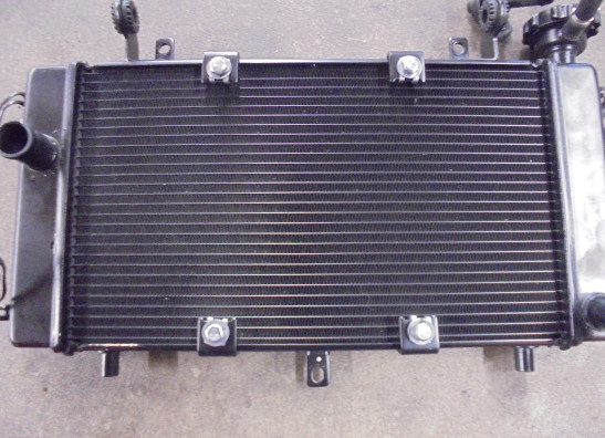 Radiateur Benelli TRK 702