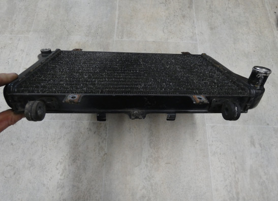 Kuhler Kawasaki ZXR 750