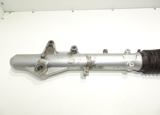 Front Fork left complete Triumph Tiger 900