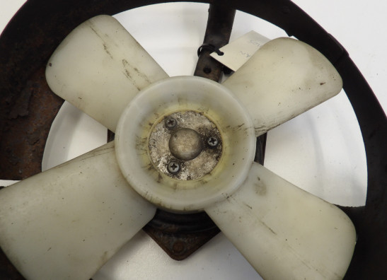 Fan Kawasaki ZZR 1100