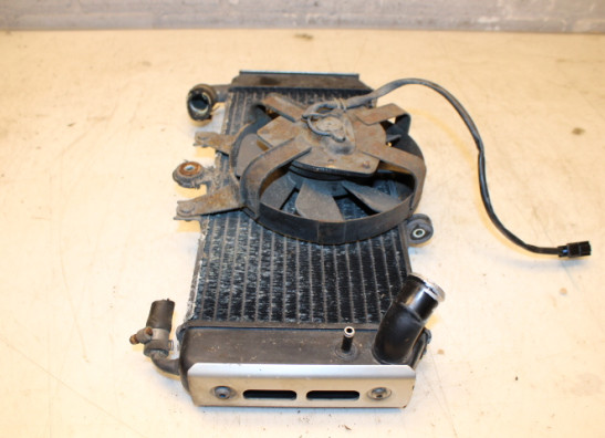 Radiateur Yamaha FAZER 600