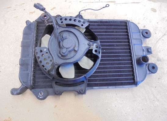 Kuhler Kawasaki VN 700  750