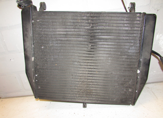 Radiator Yamaha YZF R1