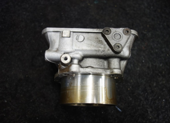 Cylinders Ducati Monster S4