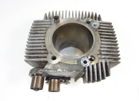 Cilinderblok Ducati monster 696