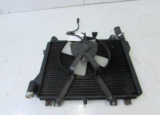 Radiateur Kawasaki GPZ 1100