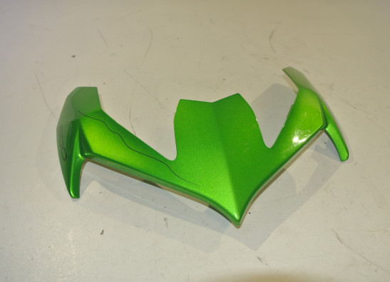 Frontverkleidung kanzel Kawasaki Z 900