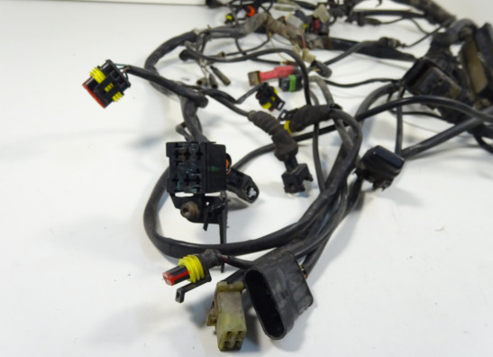 Kabelboom Ducati Monster 695