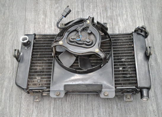 Radiateur Yamaha TDM