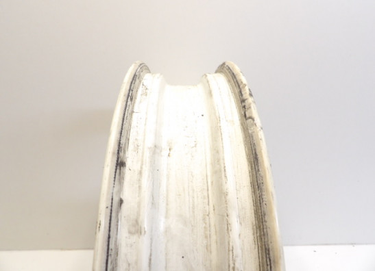 Voorvelg Triumph Trophy 1200