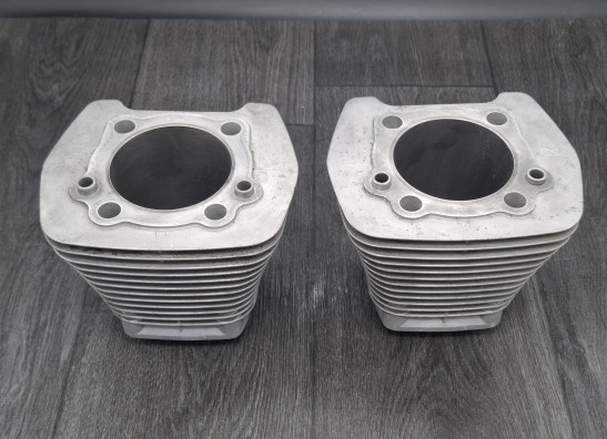 Cilinderblok Harley Davidson FXST Softail Standard