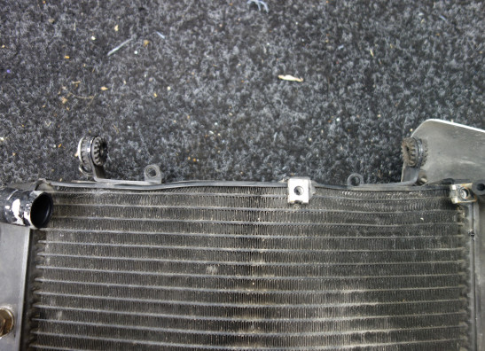 Radiateur MV Agusta 750 Brutale