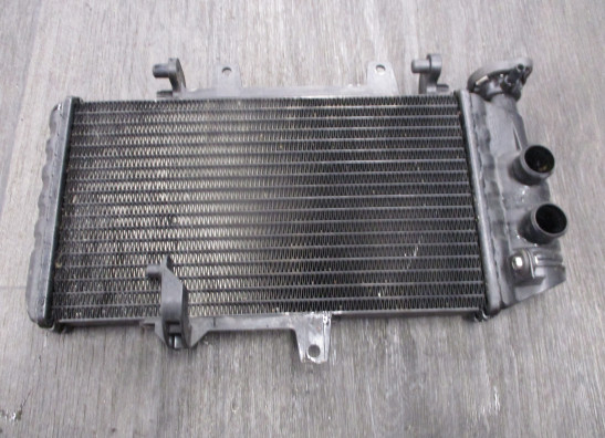 Radiateur BMW F 800 R
