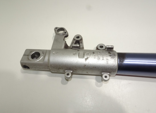 Voorpoot links compleet BMW R 1100 S