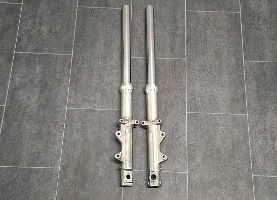 Voorpoten Harley Davidson Dyna