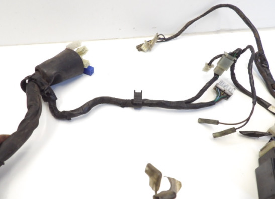 Wire Harness Yamaha YZF 600 Thundercat