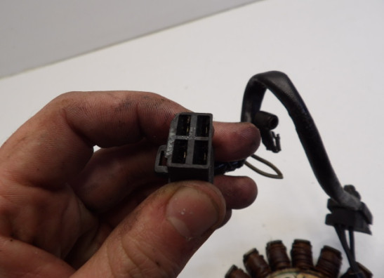 Dynamo Kawasaki GPZ 600