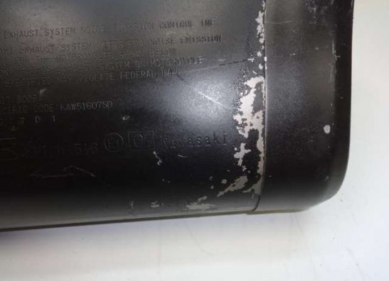 Auspuff Kawasaki Z 750