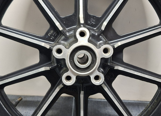 Achtervelg Harley Davidson Touring FL