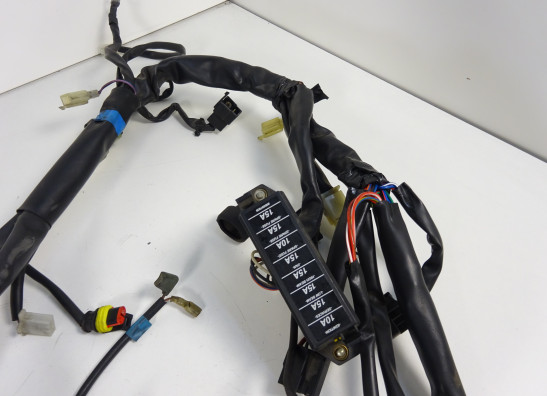 Kabelboom Cagiva Raptor 650