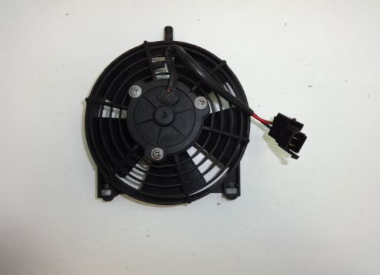 Fan Aprilia RST 1000 Futura