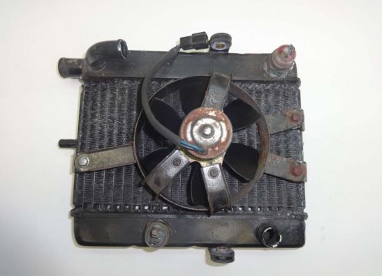 Kuhler Yamaha YP 250 Majesty