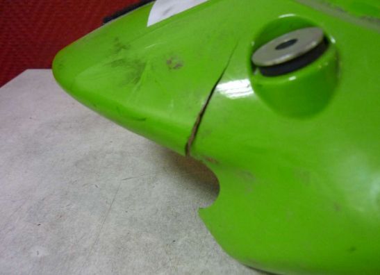 Heck Kawasaki ZX 9 R