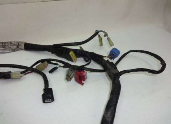 Kabelboom Honda CBF 600