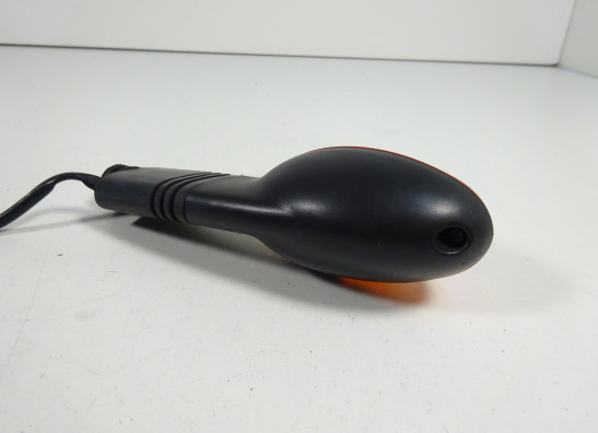 Winker right front Ducati Monster 695