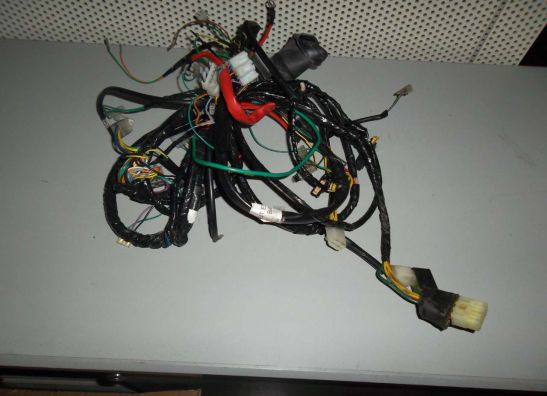 Kabelbaum Overig Peugot elysco 125