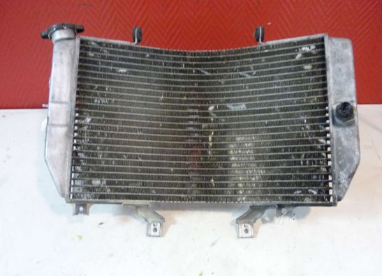 Radiator Suzuki GSX R 1000